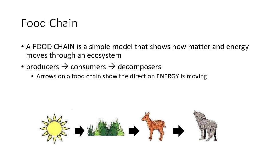 Food Chain • A FOOD CHAIN is a simple model that shows how matter
