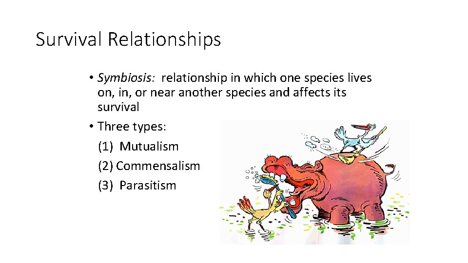 Survival Relationships • Symbiosis: relationship in which one species lives on, in, or near