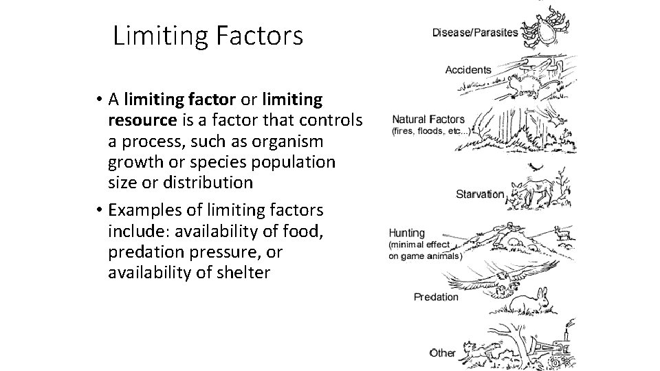 Limiting Factors • A limiting factor or limiting resource is a factor that controls