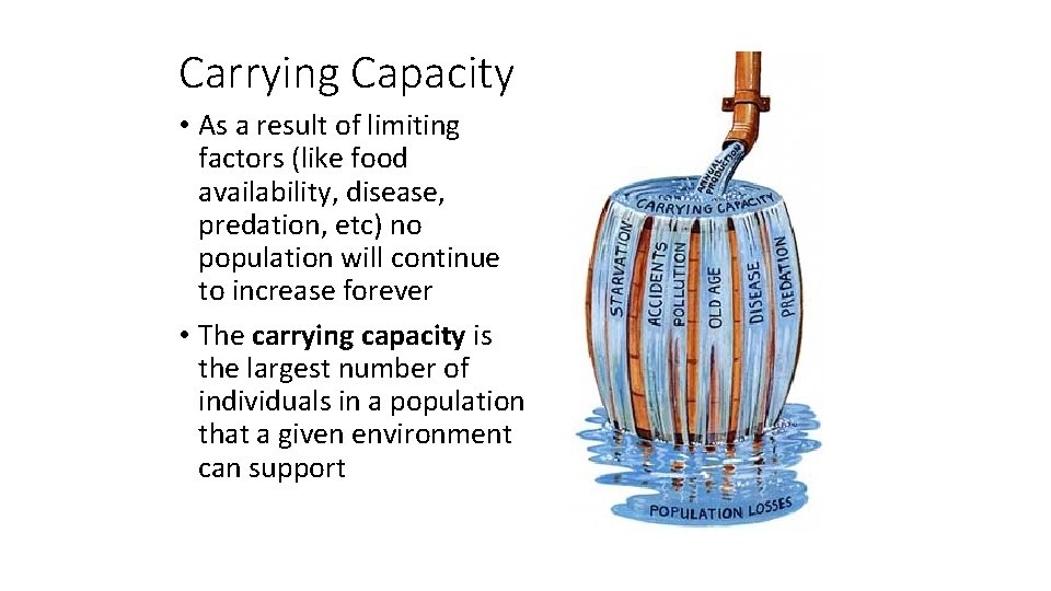 Carrying Capacity • As a result of limiting factors (like food availability, disease, predation,