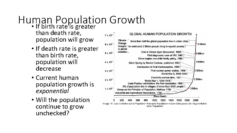 Human Population Growth • If birth rate is greater than death rate, population will