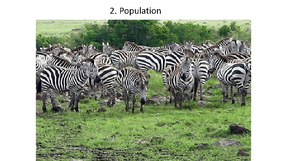 2. Population 
