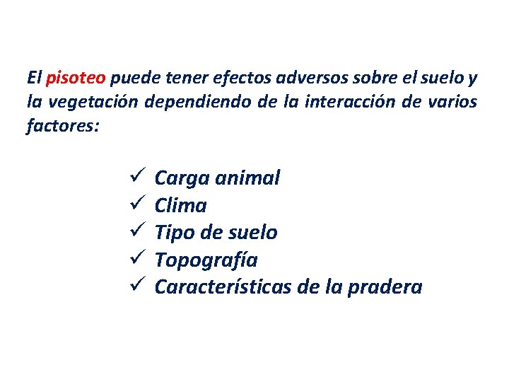 El pisoteo puede tener efectos adversos sobre el suelo y la vegetación dependiendo de