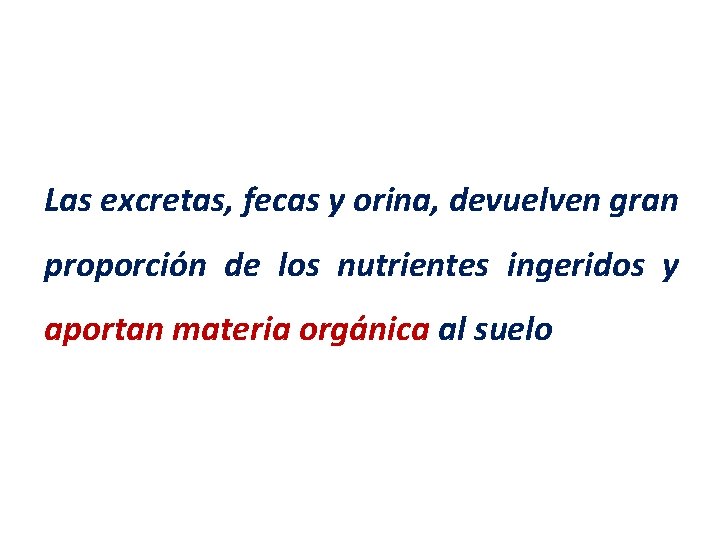 Las excretas, fecas y orina, devuelven gran proporción de los nutrientes ingeridos y aportan