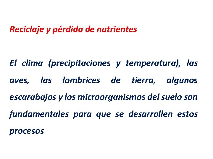 Reciclaje y pérdida de nutrientes El clima (precipitaciones y temperatura), las aves, las lombrices