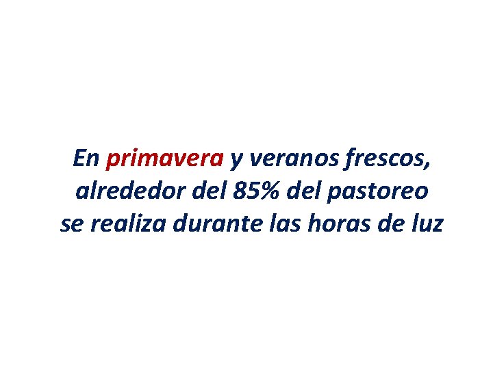 En primavera y veranos frescos, alrededor del 85% del pastoreo se realiza durante las