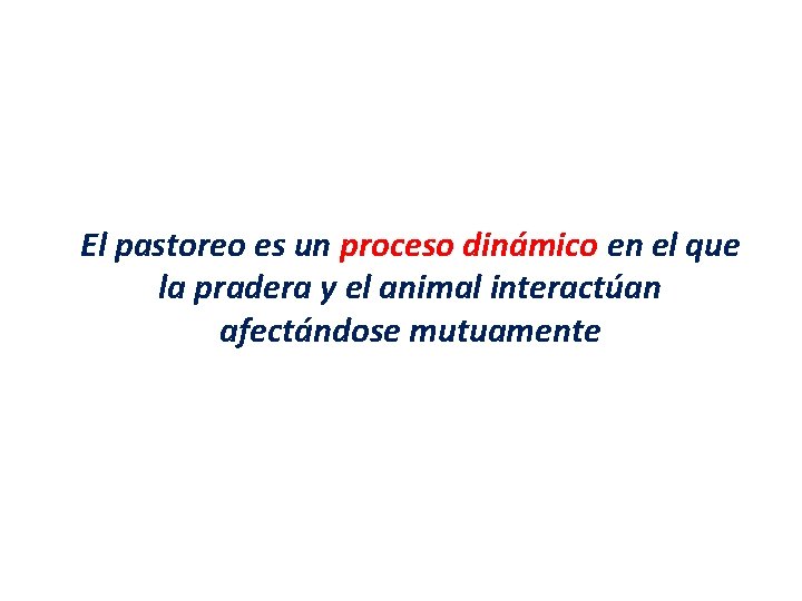 El pastoreo es un proceso dinámico en el que la pradera y el animal