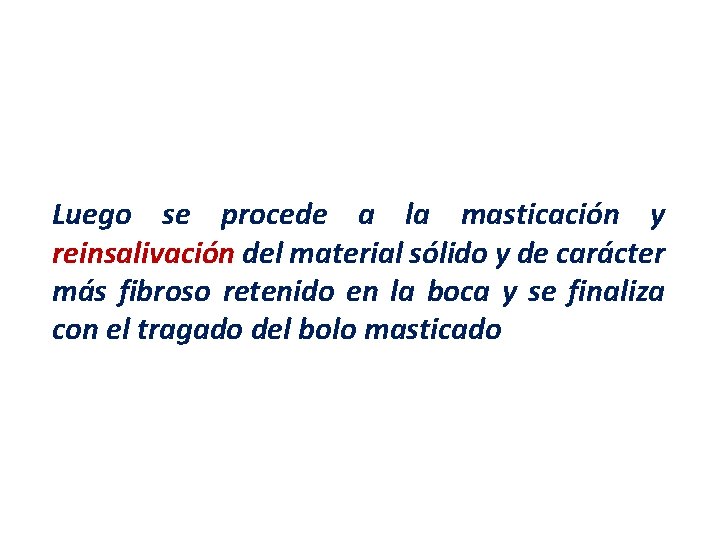 Luego se procede a la masticación y reinsalivación del material sólido y de carácter