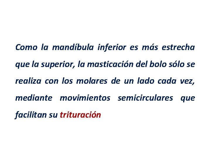 Como la mandíbula inferior es más estrecha que la superior, la masticación del bolo