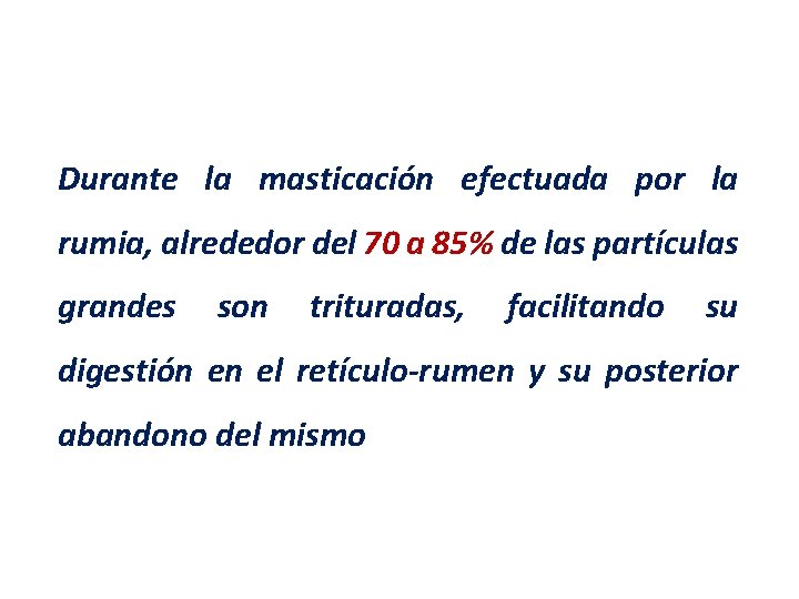 Durante la masticación efectuada por la rumia, alrededor del 70 a 85% de las