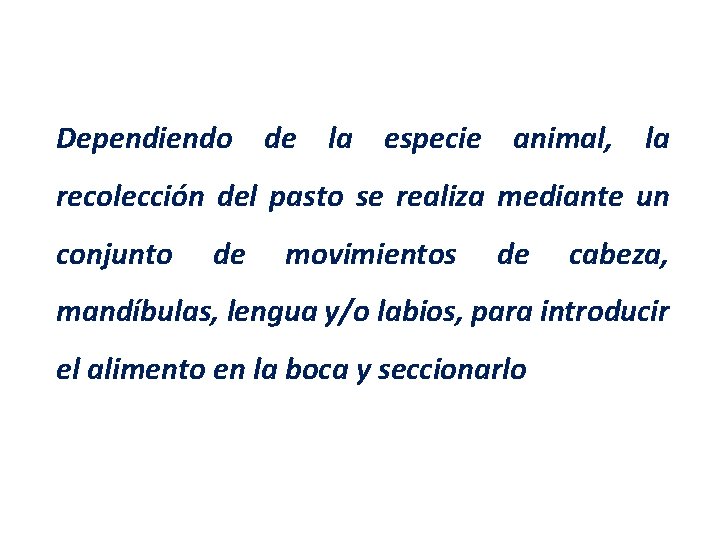 Dependiendo de la especie animal, la recolección del pasto se realiza mediante un conjunto