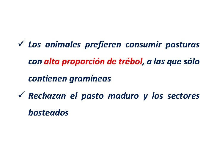 ü Los animales prefieren consumir pasturas con alta proporción de trébol, a las que