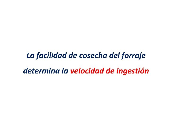 La facilidad de cosecha del forraje determina la velocidad de ingestión 