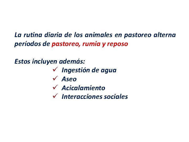 La rutina diaria de los animales en pastoreo alterna períodos de pastoreo, rumia y