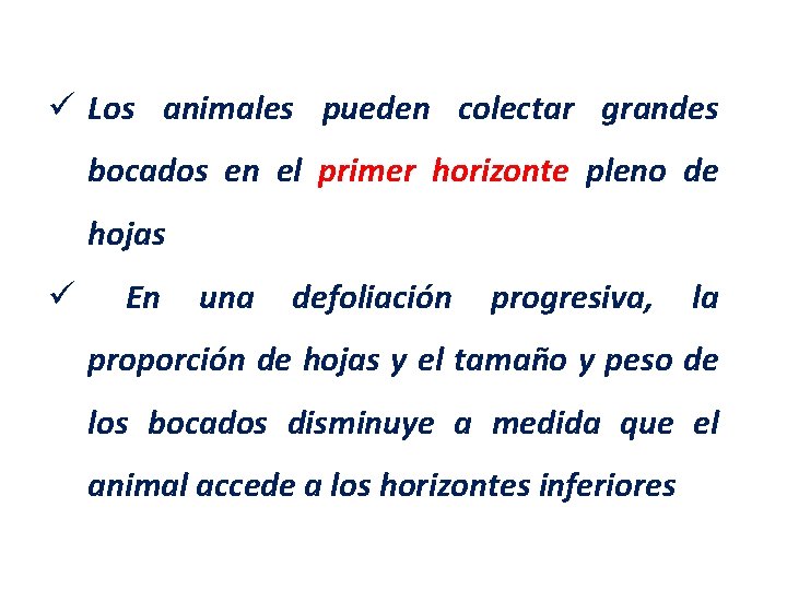 ü Los animales pueden colectar grandes bocados en el primer horizonte pleno de hojas