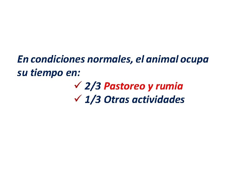 En condiciones normales, el animal ocupa su tiempo en: ü 2/3 Pastoreo y rumia