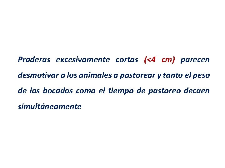 Praderas excesivamente cortas (<4 cm) parecen desmotivar a los animales a pastorear y tanto