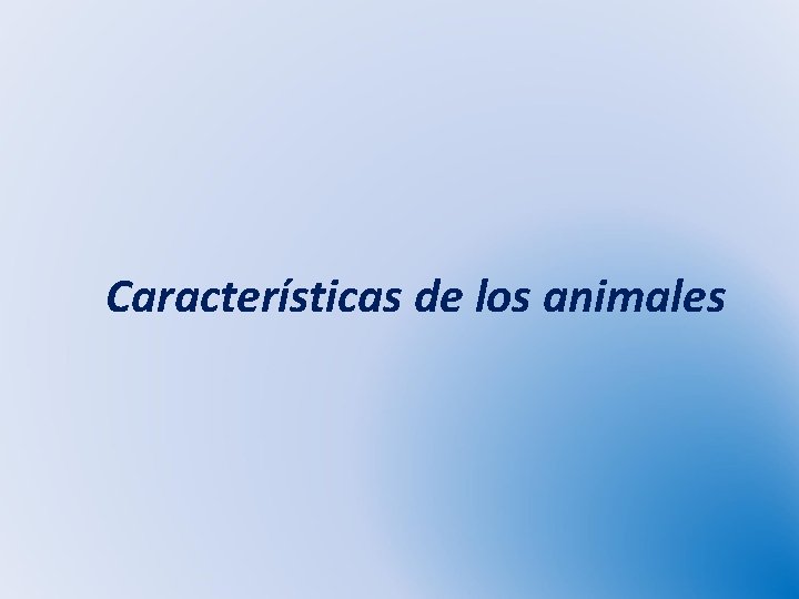 Características de los animales 