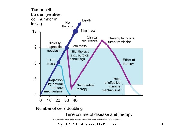 Copyright © 2014 by Mosby, an imprint of Elsevier Inc. 17 