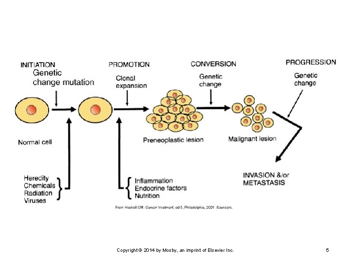 Copyright © 2014 by Mosby, an imprint of Elsevier Inc. 5 