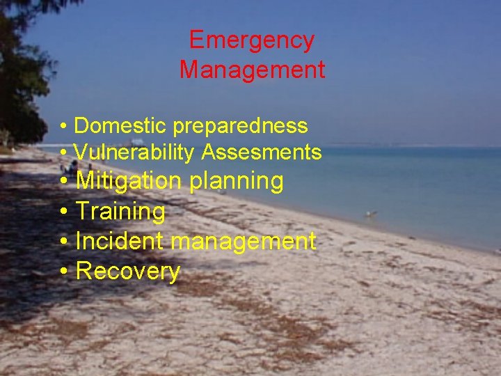 Emergency Management • Domestic preparedness • Vulnerability Assesments • Mitigation planning • Training •