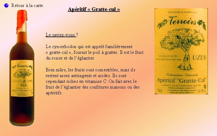 Retour à la carte Apéritif « Gratte-cul » Le saviez-vous ? Le cynorrhodon qui