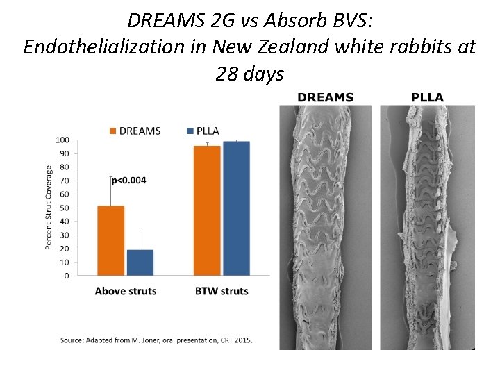 DREAMS 2 G vs Absorb BVS: Endothelialization in New Zealand white rabbits at 28