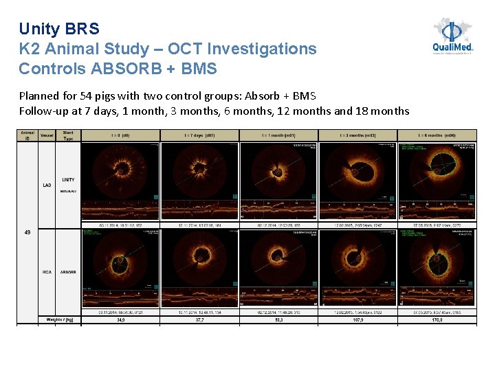 Unity BRS K 2 Animal Study – OCT Investigations Controls ABSORB + BMS Planned