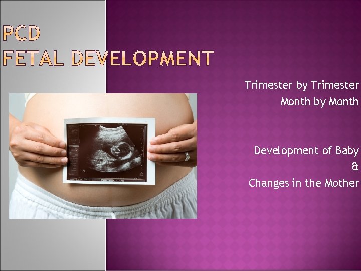 Trimester by Trimester Month by Month Development of Baby & Changes in the Mother