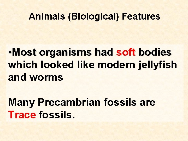 Animals (Biological) Features • Most organisms had soft bodies which looked like modern jellyfish
