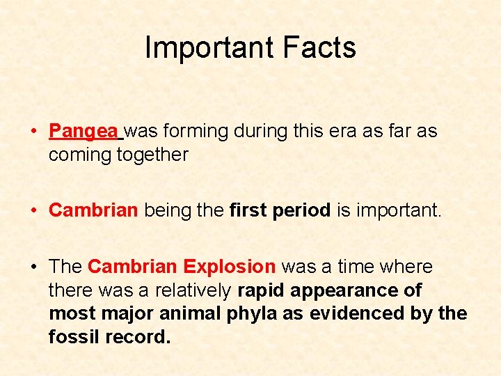 Important Facts • Pangea was forming during this era as far as coming together