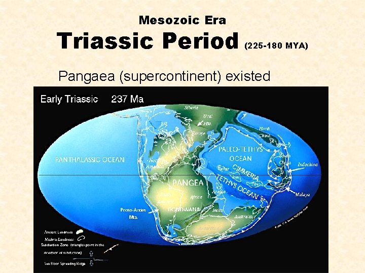 Mesozoic Era Triassic Period (225 -180 MYA) Pangaea (supercontinent) existed 