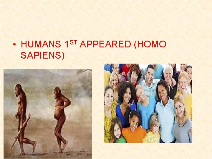  • HUMANS 1 ST APPEARED (HOMO SAPIENS) 