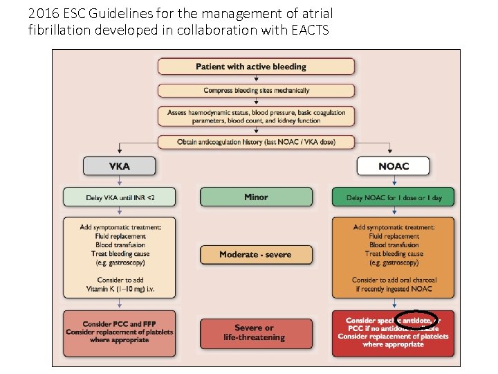 2016 ESC Guidelines for the management of atrial fibrillation developed in collaboration with EACTS