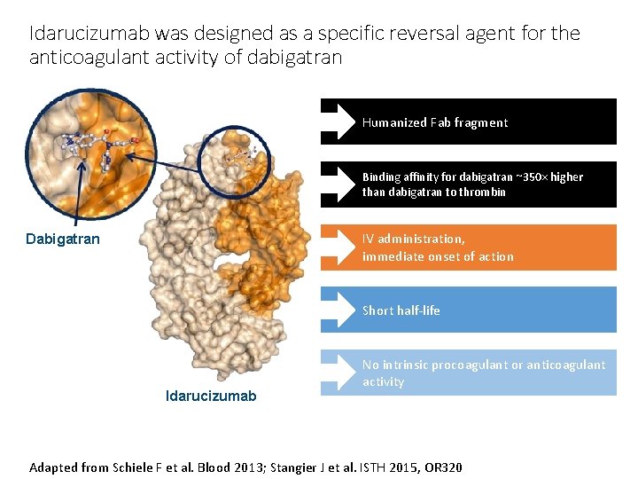 Idarucizumab was designed as a specific reversal agent for the anticoagulant activity of dabigatran