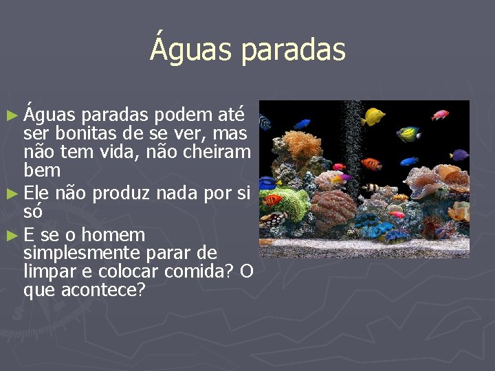 Águas paradas ► Águas paradas podem até ser bonitas de se ver, mas não