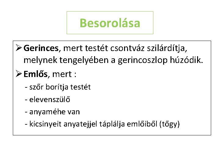 Besorolása Ø Gerinces, mert testét csontváz szilárdítja, melynek tengelyében a gerincoszlop húzódik. Ø Emlős,