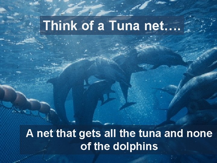 Think of a Tuna net…. A net that gets all the tuna and none
