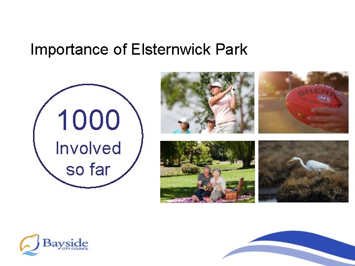 Importance of Elsternwick Park 1000 Involved so far 