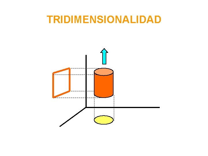 TRIDIMENSIONALIDAD 