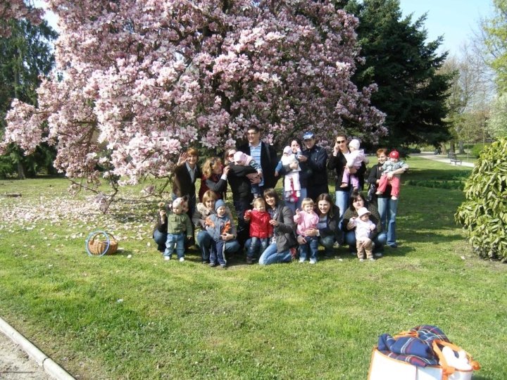 Stručni skup: Suradnja dječjih knjižničara i roditelja, Zagreb, 23. ožujka 2012. 