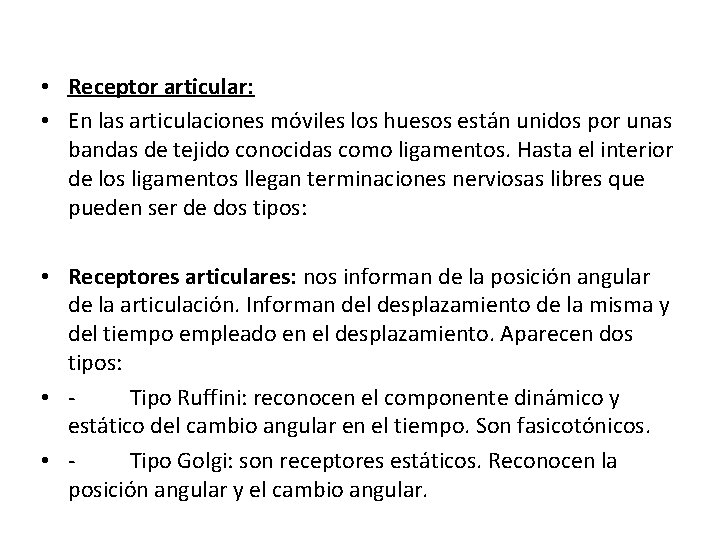  • Receptor articular: • En las articulaciones móviles los huesos están unidos por