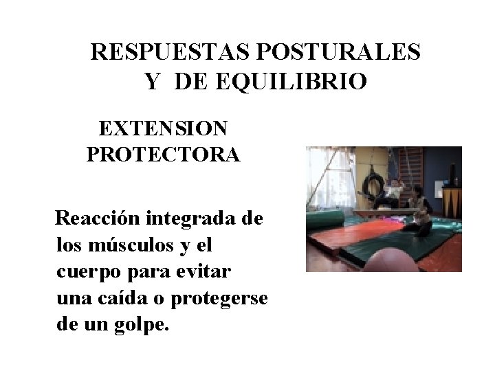 RESPUESTAS POSTURALES Y DE EQUILIBRIO EXTENSION PROTECTORA Reacción integrada de los músculos y el