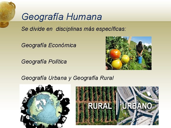 Geografía Humana Se divide en disciplinas más específicas: Geografía Económica Geografía Política Geografía Urbana