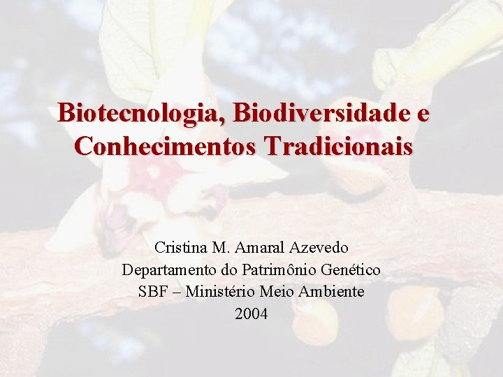 Biotecnologia, Biodiversidade e Conhecimentos Tradicionais Cristina M. Amaral Azevedo Departamento do Patrimônio Genético SBF