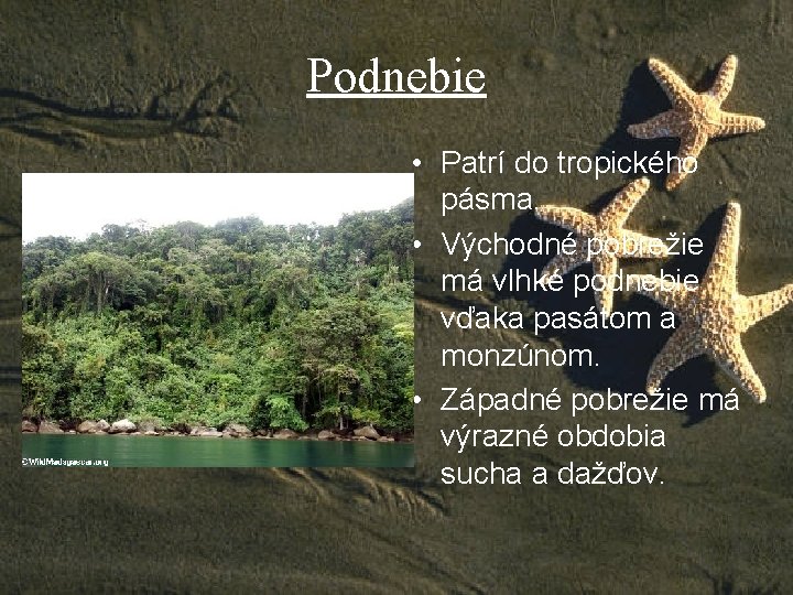 Podnebie • Patrí do tropického pásma. • Východné pobrežie má vlhké podnebie vďaka pasátom