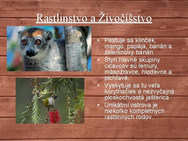 Rastlinstvo a Živočíšstvo • Pestuje sa klinček, mango, papája, banán a zeleninový banán. •