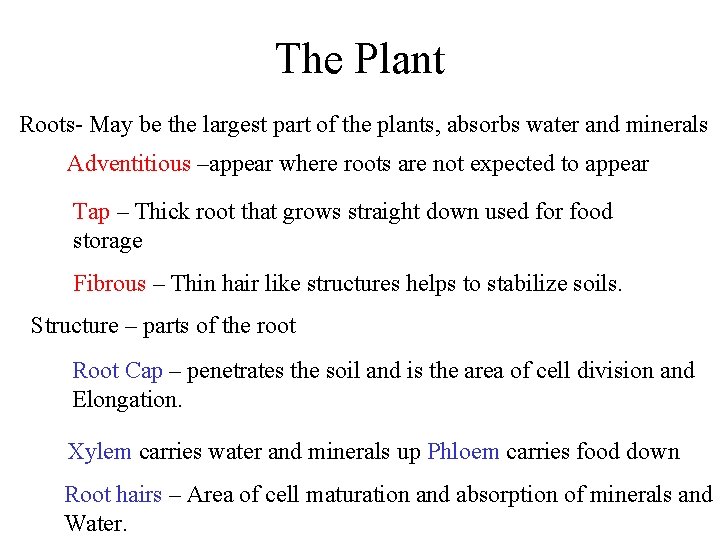 The Plant Roots- May be the largest part of the plants, absorbs water and