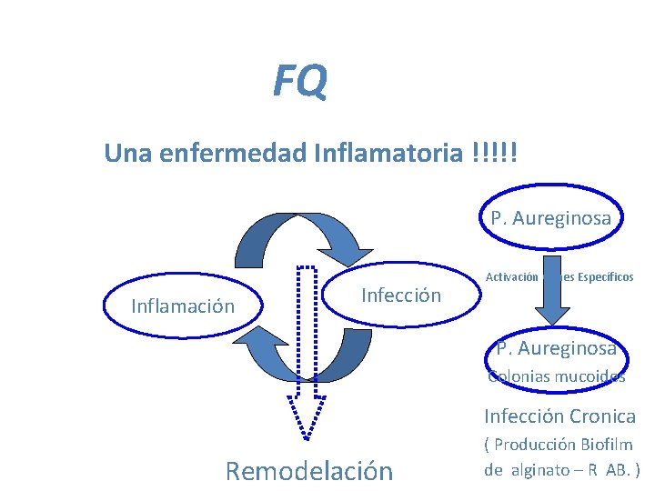 FQ Una enfermedad Inflamatoria !!!!! P. Aureginosa Inflamación Infección Activación Genes Específicos P. Aureginosa