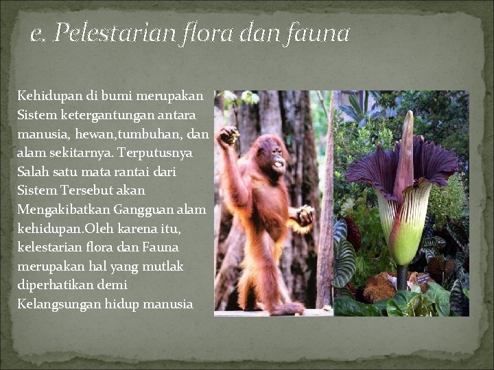 e. Pelestarian flora dan fauna Kehidupan di bumi merupakan Sistem ketergantungan antara manusia, hewan,